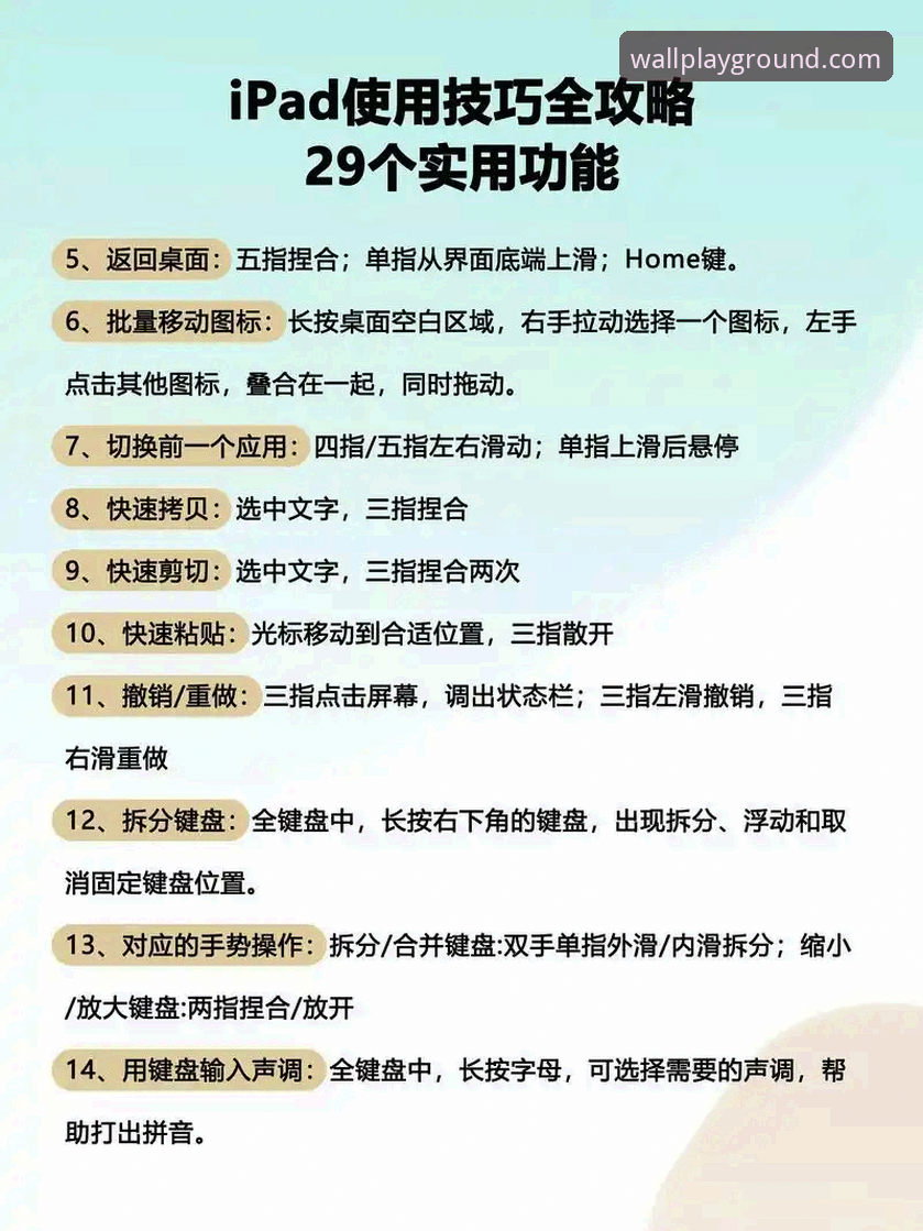 长城体育电脑版必备功能全面解析：从入门到精通的操作指南